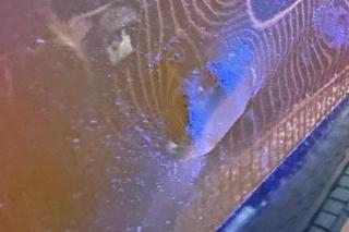 Atak na ratowników medycznych w Bydgoszczy