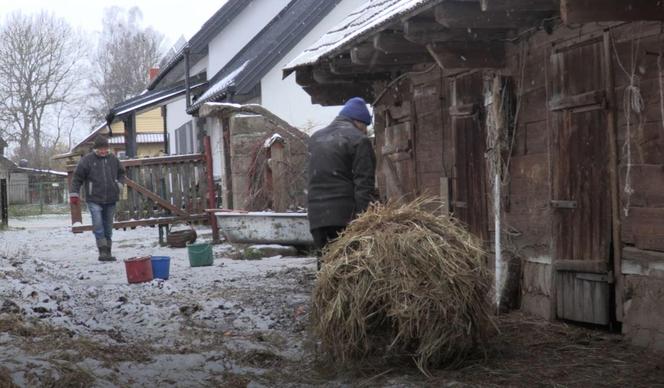 Rolnicy. Podlasie. Andrzej z Plutycz mocno pilnuje porządku. "Bo siostra..."