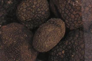 Czarne Trufle