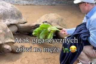 Maciej Orłoś, Paulina Orłoś