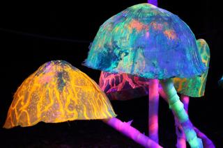  Lumina Park w Lublinie kończy sezon 2023/2024. Zobacz zdjęcia ze spaceru po parku iluminacji