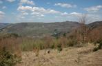 Góra Żar