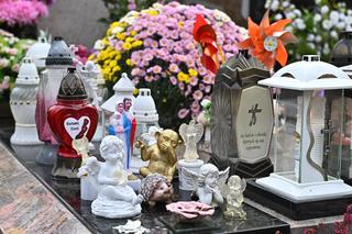 Aniołki i misie strzegą grobu 6-letniej Sandry, obok rozkwita kwiat róży