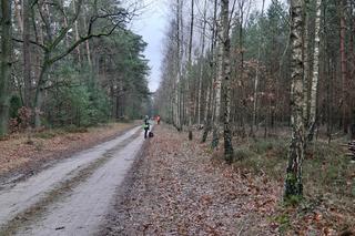 Łódzkie: ZARZĄDZANIE KRYZYSOWE W AKCJI. Około 80. osób przeszukiwało w weekend lasy