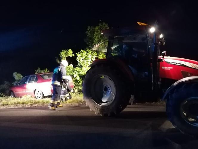 Pies wyskoczył wprost pod koła BMW. Matka z dziećmi zjechała do rowu [ZDJĘCIA]