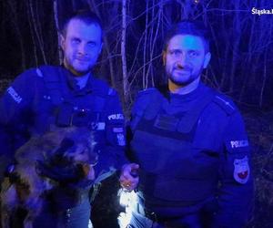 Śląskie: Policjanci uratowali małego, zbłąkanego pieska. Akcja była bardzo skomplikowana