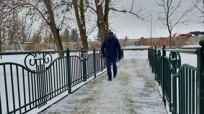 Zamojski Park pod śniegiem