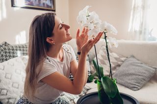 Florystka pokazała mi sposób na zmobilizowanie storczyka do kwitnienia. Latem raz w tygodniu zabieram kwiat do domowego SPA. Rozrósł się i kwitnie, aż uginają się pędy