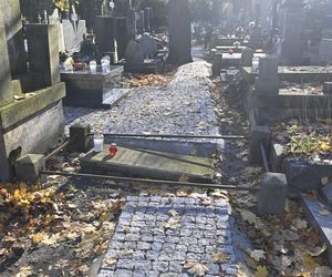 Gwiazdy kwestują na Powązkach