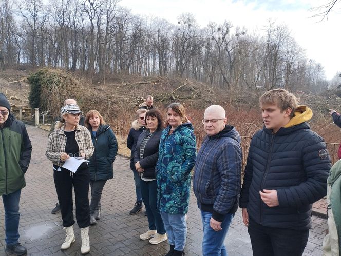 Kontrowersyjna wycinka drzew pod trasę N-Ś w Rudzie Śląskiej. Mieszkańcy: "to jest fałszerstwo na duża skalę, to skandal"