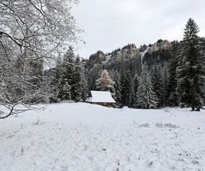 Atak zimy w Polsce. Opady śniegu w Zakopanem