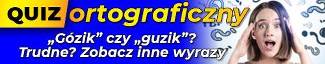  Quiz ortograficzny. Gózik czy guzik? Trudne? Zobacz inne wyrazy