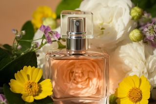W poniedziałek ostatnia taka okazja w Rossmannie. W promocji świeże perfumy na lato za 39 zł. Lekkie i kobiece dodadzą witalności. Perfumy damskie w Rossmann