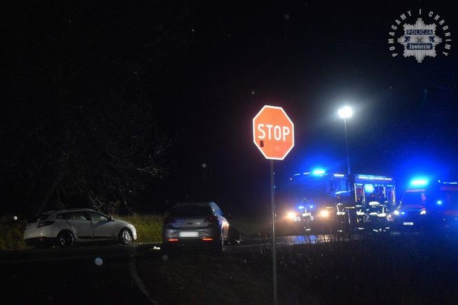 Tragedia na DW 790 w powiecie zawierciańskim. 51-latki nie udało się uratować