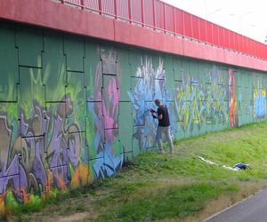 Meeting Of Styles w Lublinie. Największy festiwal graffiti w Polsce