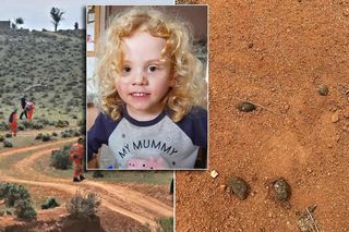 Zaginiony czterolatek zniknął z domu dziadków! Ktoś go zabrał