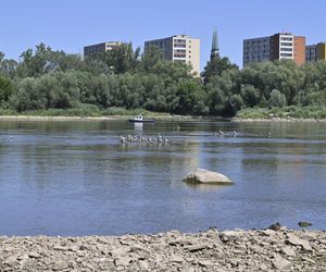 Niski stan wody w Wiśle