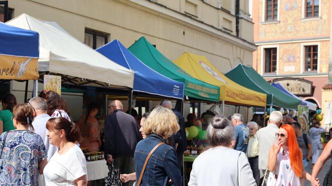 Miasto miodem płynące! Tak świętowali pszczelarze w Lublinie! Zobacz 