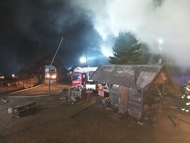 Pożar strusiej fermy w Bukwałdzie koło Olsztyna 