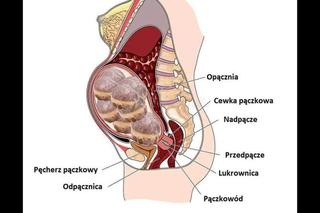 Tłusty Czwartek - MEMY