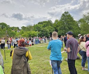 Festiwal Przyjaciół Zwierząt w Olsztynie. Park Centralny opanowały radosne pieski