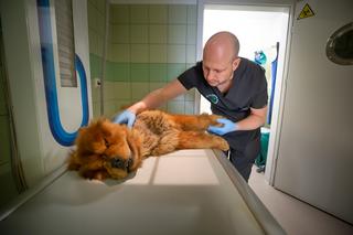 Borys ofiarą pseudohodowli 