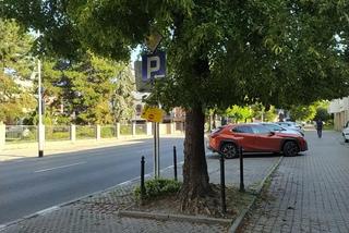 Kierowcy w weekend nie zaparkujecie w centrum. Utrudnienia przez Rzeszów Bike Festival 