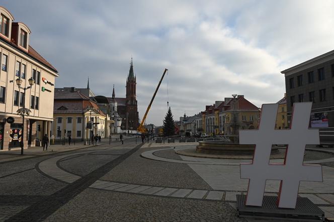 Choinka stanęła pod ratuszem. Niedługo rozbłysną tu świąteczne iluminacje [ZDJĘCIA]