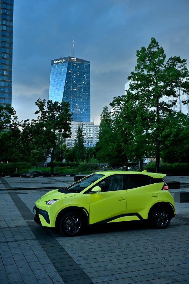 BYD DOLPHIN SURF