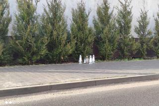 W miejscu tragedii w Wawrowie palą się znicze