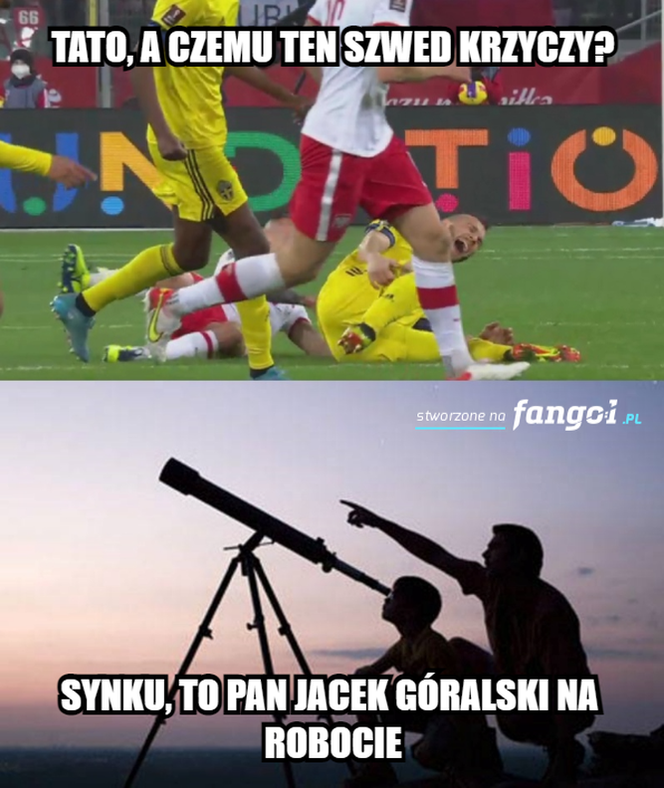 MEMY po meczu Polska - Szwecja