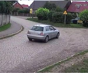 Złapał psa i rzucił nim o ziemię. Wstrząsające nagranie obiegło sieć