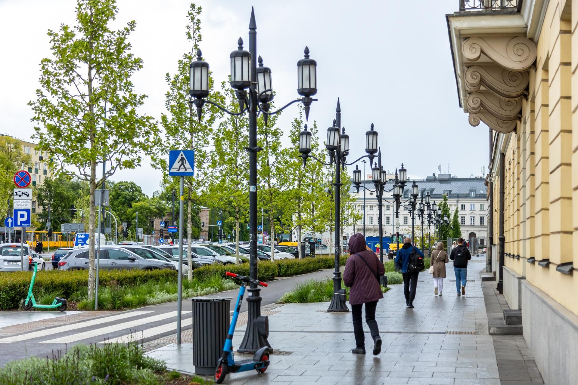Sadzenie zieleni na placu Bankowym w maju 2025 r.