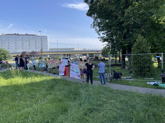 Linia tramwajowa do Mistrzejowic. Protest ws. wycinki drzew w Krakowie