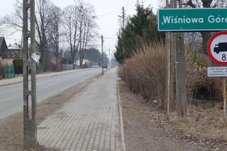 Wiśniowa Góra (2569 mieszkańców)