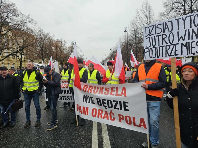 Protest plantatorów tytoniu w Warszawie (3.11.2025)