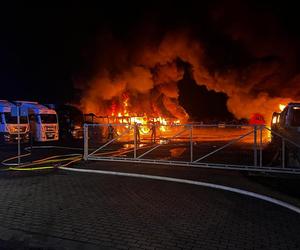 Wielki pożar w Osiecznicy na Dolnym Śląsku. Spłonęło 16 ciężarówek