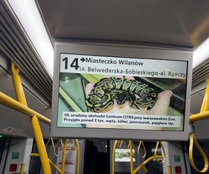 Warszawa. Tramwaj do Wilanowa