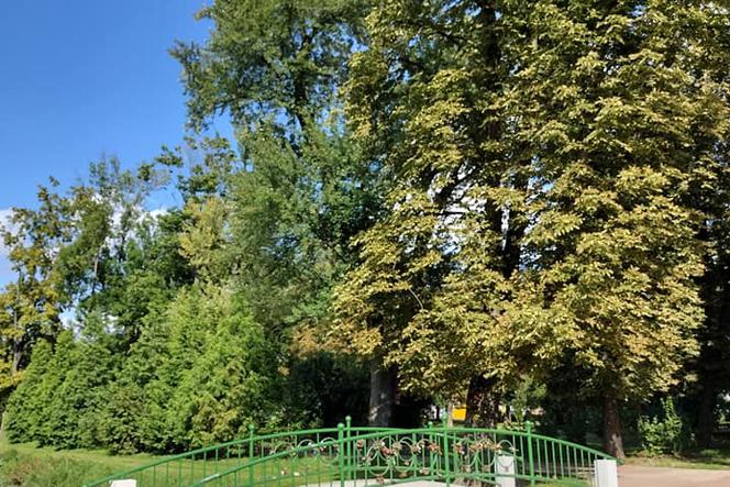 Park Stary Ogród