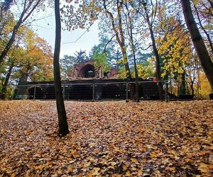 Porządkowanie terenu wokół wieży Quistorpa