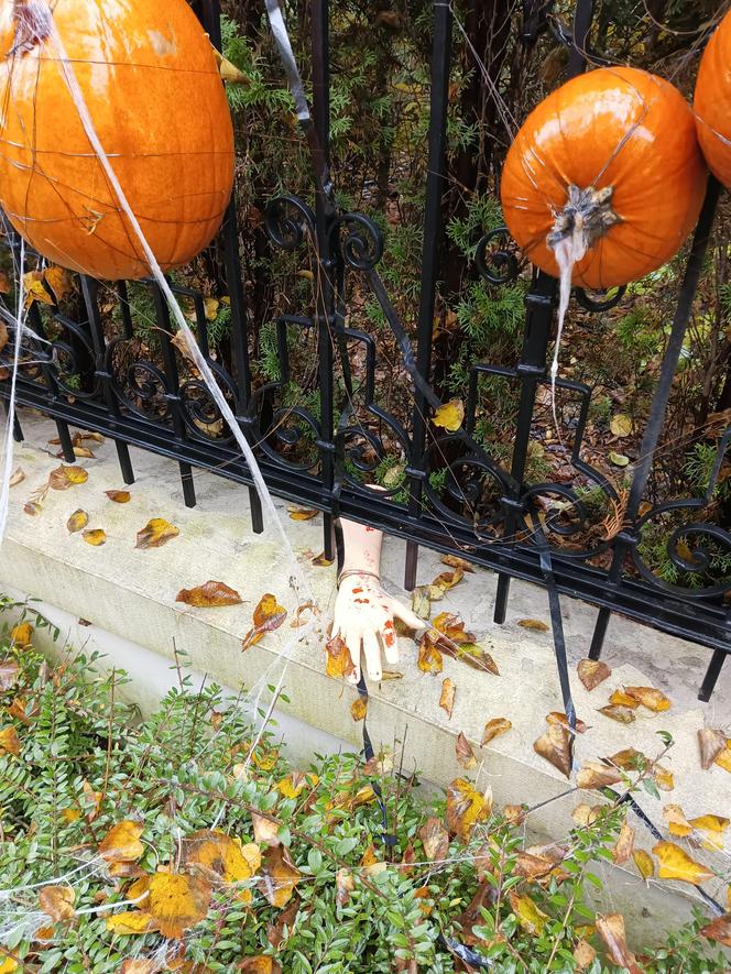 Willa na Jaśkowej Dolinie znów ozdobiona. Tym razem przechodniów zaskakują halloweenowe straszydła!