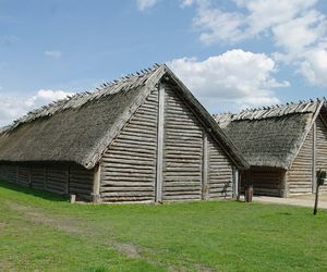 Biskupin
