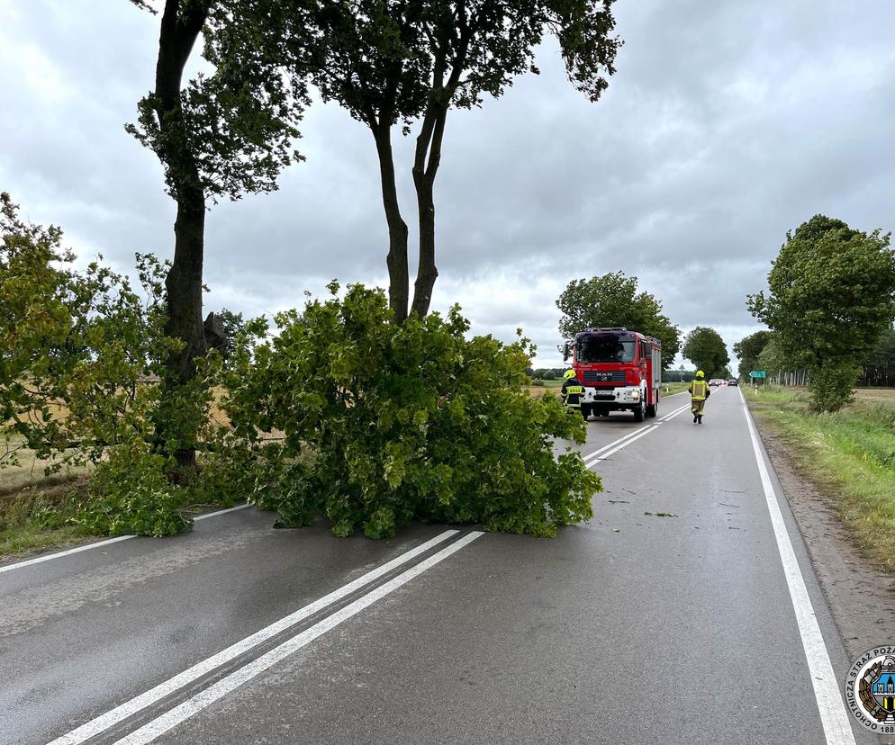 Porywisty wiatr na Podkarpaciu. Nadciągają silne wichury 