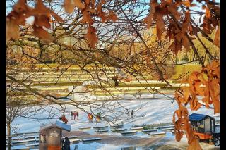 Cytadela w zimowej aurze