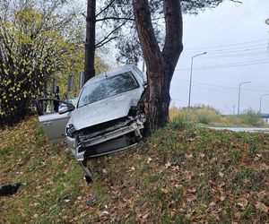 Pijany Ukrainiec rozbił auto na drzewie