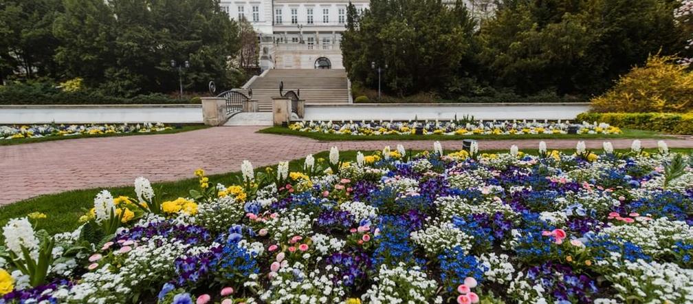 Pałac Prezydencki na wiosnę