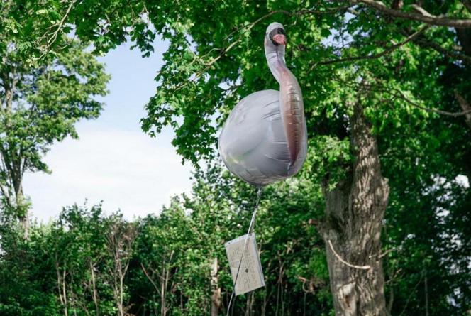 Ten balon przeleciał niemal tysiąc kilometrów. Niecodzienne odkrycie w lesie