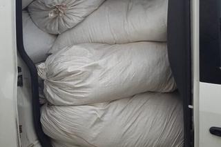 Przestepcy działali w Polsce i Niemczech. Wpadli na granicy w Grzechotkach