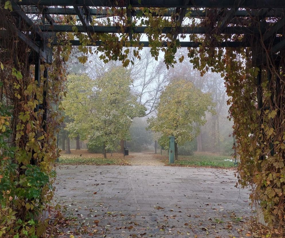 Zamojski Park jesienią