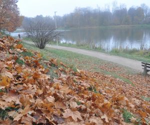 Dolina Silnicy i Zalew Kielecki jesienią